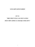 SKKN Biện pháp nâng cao chất lượng phân môn chính tả cho học sinh lớp 2