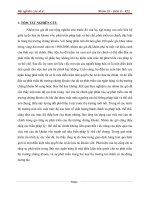 NHỮNG VẤN ĐỀ NÀO CHO SỰ PHÁT TRIỀN TÀI CHÍNH KIỂM SOÁT VỐN, THỂ CHẾ VÀ SỰ TƯƠNG TÁC