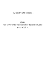 SKKN Rèn kỹ năng viết trong các tiết học chính tả cho học sinh lớp 3