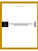 HIỆU ỨNG TÁC ĐỘNG TRUYỀN DẪN CỦA TỶ GIÁ VÀ CHÍNH SÁCH TIỀN TỆ Ở CROATIA