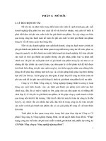 Thực trạng công tác kế toán chi phí sản xuất và tính giá thành sản phẩm tại Công Ty Cổ Phần Tổng công ty Nông nghiệp Quảng Bình