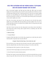 CÁC TIÊU CHÍ ĐÁNH GIÁ HỆ THỐNG QUẢN LÝ ÁP DỤNGĐỐI VỚI DOANH NGHIỆP VỪA VÀ NHỎ