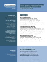 Mẫu CV xin việc bằng Doc - 215-Great-Blue-Divide