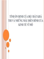 TÍNH ỔN ĐỊNH CỦA BỘ 3 BẤT KHẢ THI VÀ NHỮNG MẪU ĐIỂN HÌNH CỦA KINH TẾ VĨ MÔ