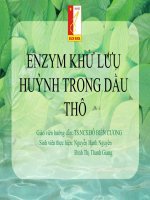Enzym khử lưu huỳnh trong dầu thô