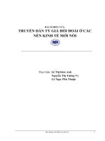 TRUYỀN DẪN TỶ GIÁ HỐI ĐOÁI Ở CÁC NỀN KINH TẾ MỚI NỔI