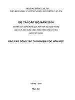 NGHIÊN CỨU CÔNG NGHỆ CỌC HỖN HỢP SỬ DỤNG TRONG GIA CỐ VÀ XÂY DỰNG CÔNG TRÌNH TRÊN NỀN ĐẤT YẾU BÁO CÁO CÔNG TÁC THÍ NGHIỆM CỌC HỖN HỢP