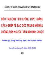 ĐIỀU TRỊ BỆNH TIỂU ĐƯỜNG TYPE 1 BẰNG CÁCH GHÉP TẾ BÀO GỐC TRUNG MÔ MÁU CUỐNG RỐN NGƯỜI TRÊN MÔ HÌNH CHUỘT