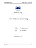 Phân tích khả năng sinh lợi