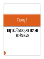 Chuong 6  thị trường cạnh tranh hoàn hảo