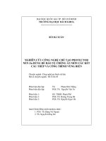 LUẬN ÁN TIẾN SĨ NGHIÊN CỨU CÔNG NGHỆ CHẾ TẠO PROTECTOR NỀN Zn DÙNG ĐỂ BẢO VỆ CHỐNG ĂN MÒN CÁC KẾT CẤU THÉP VÀ CÔNG TRÌNH VÙNG BIỂN