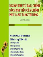 NGUỒN THU TỪ DẦU, CHÍNH SÁCH CHI TIÊU CỦA CHÍNH PHỦ VÀ SỰ TĂNG TRƯỞNG