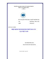 Tiểu luận môn phân tích chính sách thuế Hiệp định tránh đánh thuế hai lần tại việt Nam