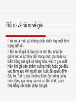 thuyết trình quản trị Rủi ro và rủi ro về giá