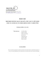 BÁO CÁO HIỆP ĐỊNH THƯƠNG MẠI TỰ DO GIỮA VIỆT NAM VÀ LIÊN MINH CHÂU ÂU ĐÁNH GIÁ TÁC ĐỘNG ĐỊNH LƯỢNG VÀ ĐỊNH TÍNH