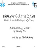 BÀI GIẢNG VỀ CÂY THUỐC NAM
