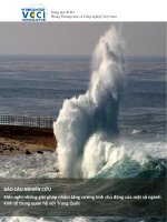 BÁO CÁO KIẾN NGHỊ CÁC GIẢI PHÁP NHẰM TĂNG CƯỜNG TÍNH CHỦ ĐỘNG CỦA MỘT SỐ NGÀNH KINH TẾ TRONG QUAN HỆ VỚI TRUNG QUỐC