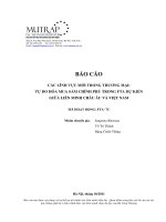 BÁO CÁO CÁC LĨNH VỰC MỚI TRONG THƯƠNG MẠI  TỰ DO HÓA MUA SẮM CHÍNH PHỦ TRONG FTA DỰ KIẾN GIỮA LIÊN MINH CHÂU ÂU VÀ VIỆT NAM
