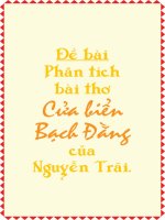 Phân tích bào thơ Cửa Biển Bạch Đằng của Nguyễn Trãi