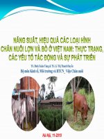 năng suất hiệu quả các loại hình chăn nuôi lợn và bò ở việt nam , thực trạng các yếu tố tác động và sự phát triển