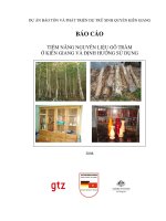 TIỀM NĂNG NGUYÊN LIỆU GỖ TRÀM Ở KIÊN GIANG VÀ ĐỊNH HƯỚNG SỬ DỤNG