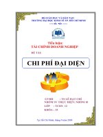 đề tài chi phí đại diện