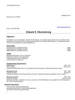 Mẫu CV xin việc bằng doc   100 classic plain