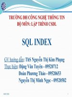 Tiểu luận môn lập trình cơ sở dữ liệu SQL INDEX