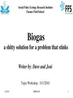 Biogas a shitty solution for a problem that stinks