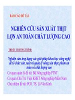 NGHIÊN CỨU SẢN XUẤT THỊT LỢN AN TOÀN CHẤT LƯỢNG CAO