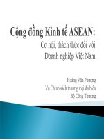 cộng đồng kinh tế asean cơ hội thách thức đối với doanh nghiệp việt nam