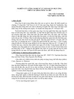 NGHIÊN CỨU CÔNG NGHỆ XỬ LÝ, BẢO QUẢN MỰC ỐNG TRÊN TÀU KHAI THÁC XA BỜ