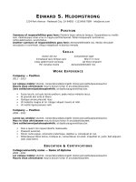 Mẫu CV xin việc bằng doc  267 rising career