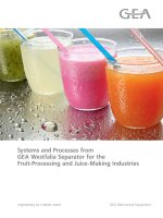 Systems and Processes from GEA Westfalia Separator for the Fruit-Processing and Juice-Making Industries