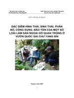 ĐẶC ĐIỂM HÌNH THÁI, SINH THÁI, PHÂN BỐ, CÔNG DỤNG, BẢO TỒN CỦA MỘT SỐ LOÀI LÂM SẢN NGOÀI GỖ QUAN TRỌNG Ở VƯỜN QUỐC GIA CHƯ YANG SIN