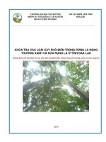 khóa tra các loài cây phổ biến trong rừng lá rộng thường xanh và nửa rụng lá ở tỉnh daklak
