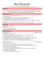 Mẫu CV xin việc bằng Doc - 44-Pretty-in-Pink