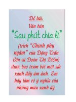 Phân tích những màu xanh ám ảnh trong văn bản