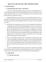 tiểu luận MỘT SỐ VẤN ĐỀ LIÊN QUAN ĐẾN CHI PHÍ ĐẠI DIỆN