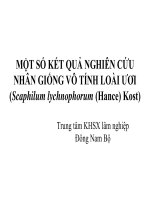 MỘT SỐ KẾT QUẢ NGHIÊN CỨU NHÂN GIỐNG VÔ TÍNH LOÀI ƯƠI