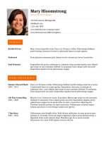 Mẫu CV xin việc bằng doc   24 professional orange