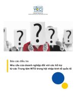 báo cáo điều tra nhu cầu của doanh nghiệp đối với các hỗ trợ từ các trung tâm wto trong hội nhập kinh tế quốc tế