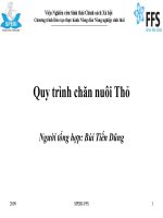 Quy trình chăn nuôi Thỏ
