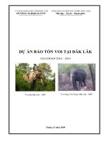 DỰ ÁN BẢO TỒN VOI TẠI ĐĂK LĂK