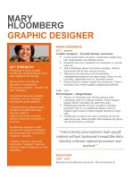 Mẫu CV xin việc bằng doc   14 bold contrast