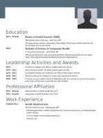 Mẫu CV xin việc bằng doc   162 steely