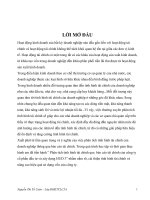 Phân tích báo cáo tài chính Công ty Cổ phần Đầu tư HUD3