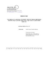 BÁO CÁO TÁC ĐỘNG CỦA CHƯƠNG VỀ SỞ HỮU TRÍ TUỆ TRONG HIỆP ĐỊNH THƯƠNG MẠI TỰ DO DỰ KIẾN GIỮA VIỆT NAM VÀ LIÊN MINH CHÂU ÂU