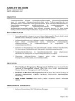 Mẫu CV xin việc bằng doc   113 legal