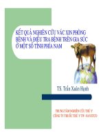 kết quả nghiên cứu vắc xin phòng bệnh và điều tra bệnh trên gia súc ở một số tỉnh phía nam